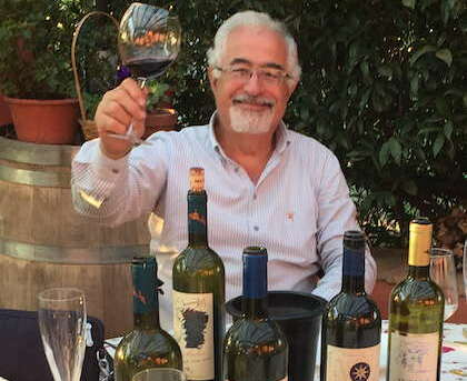 Wine tasting in family winery - 4h 